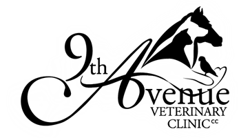 9th Avenue Veterinary Clinic